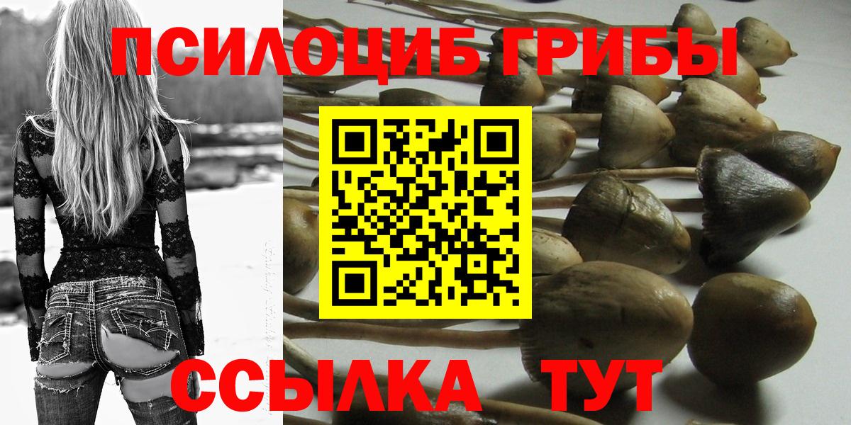 Псилоцибиновые грибы мицелий Элиста